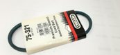 BELT PREMIUM WRAPPED