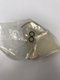 JOINT TORIQUE