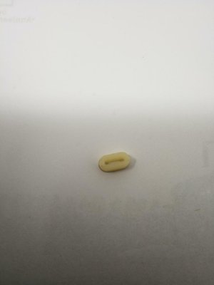 Pièce à définir - Sous famille pèce à définir - TAMPON