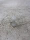 TETE LAVAGE 180°