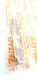 Goujon filet�