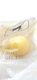 BOUTON