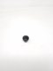 BOUTON