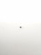 Boule 5 G20 -1.4034  DIN 5401