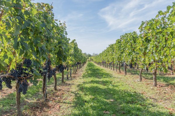 be-article-articleCategory-48d93f176eab85 - image 8