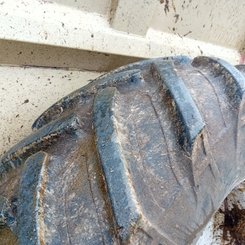 Épandeur à fumier Leboulch HVS217 - 4