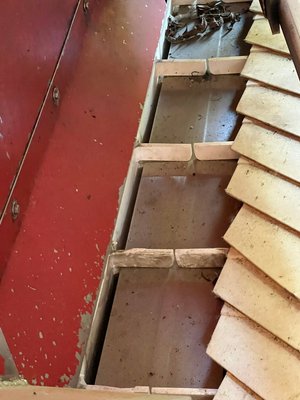 Machine à vendanger Alma RNES