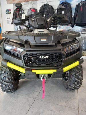 Quad - BLADE 600 ltx eps