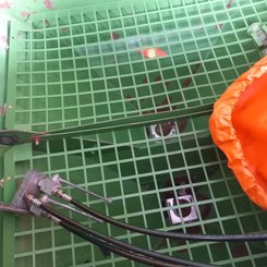 Distributeur d'engrais Amazone ZAXW - 4