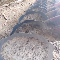 Déchaumeur à disques Pöttinger TERRADISC3501 - 4