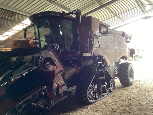 Moissonneuse batteuse - AXIAL FLOW 8250 ST5