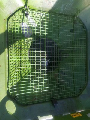 Distributeur d'engrais Amazone ZAV 3200 AMASPREAD