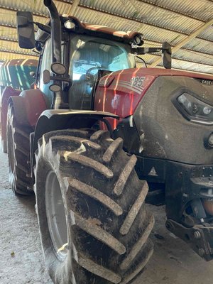 Tracteur agricole - PUMA 185 CVX DRIVE 